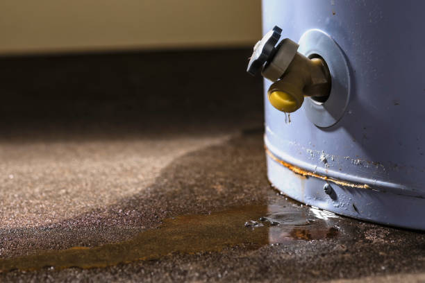 Professional Water damage restoration in MI