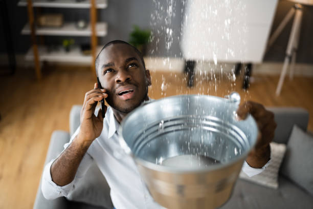 Best Flood damage cleanup  in Caledonia, MI