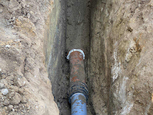 Best Basement water damage restoration  in Caledonia, MI