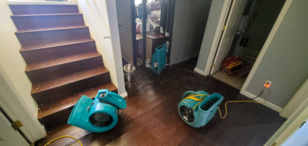 Best 24/7 water damage repair  in Caledonia, MI