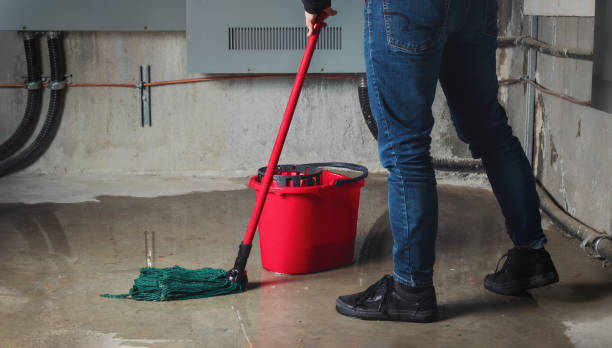 Best Local water damage restoration  in Caledonia, MI
