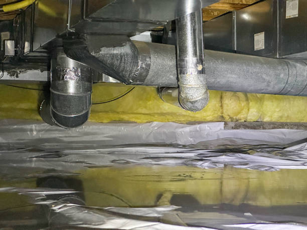 Best Emergency water extraction  in Caledonia, MI
