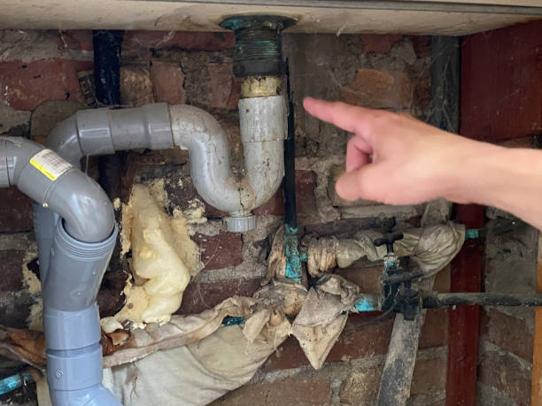 Best Water damage restoration near me  in Caledonia, MI